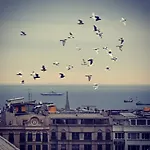 Hivas Hotel