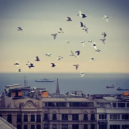 Hivas Hotel